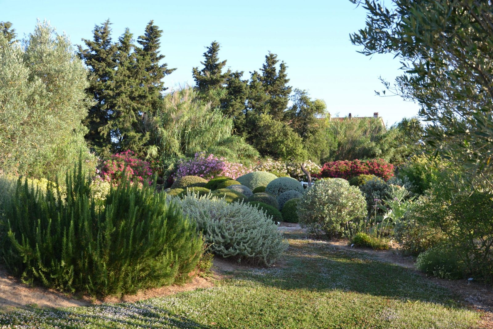 Botanical dry garden - Vacanze Maremma al mare in Toscana